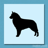 Belgian Sheepdog