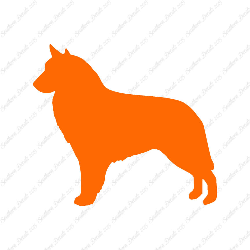 Belgian Sheepdog