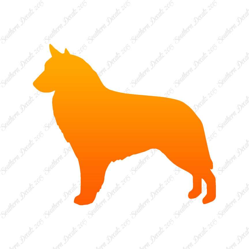 Belgian Sheepdog