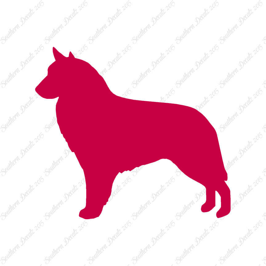 Belgian Sheepdog