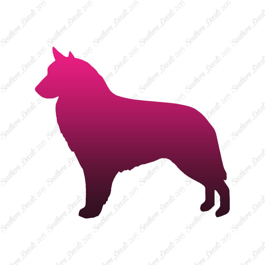Belgian Sheepdog