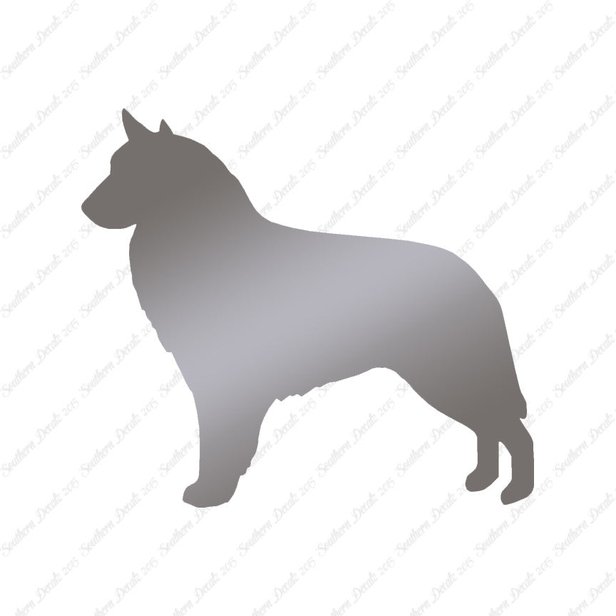 Belgian Sheepdog