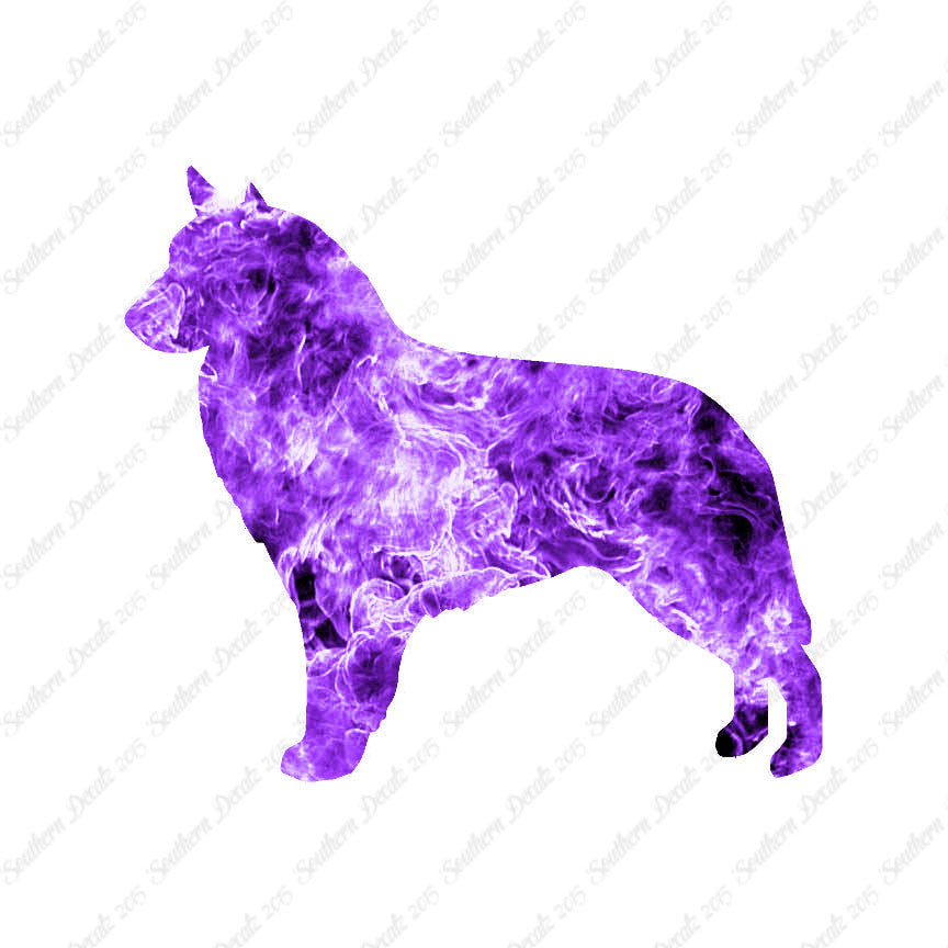 Belgian Sheepdog