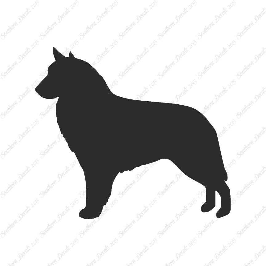 Belgian Sheepdog