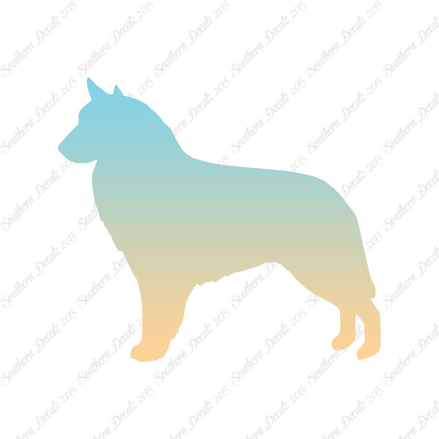 Belgian Sheepdog