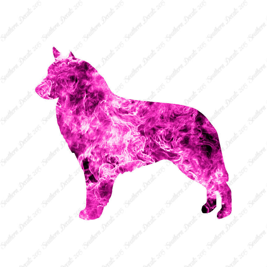 Belgian Sheepdog
