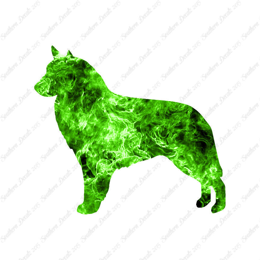 Belgian Sheepdog