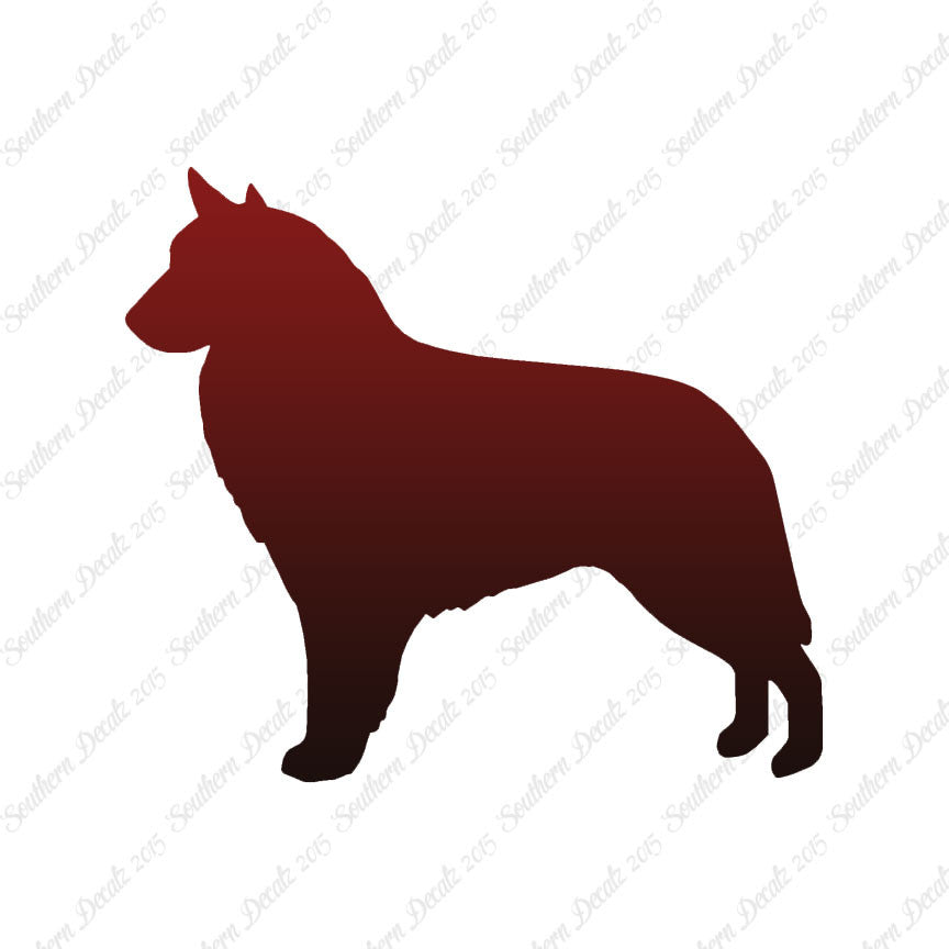Belgian Sheepdog