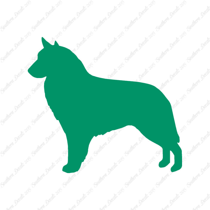 Belgian Sheepdog