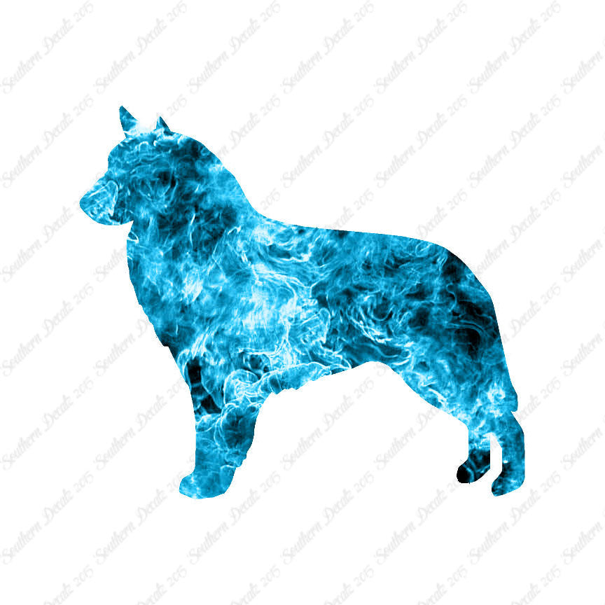 Belgian Sheepdog