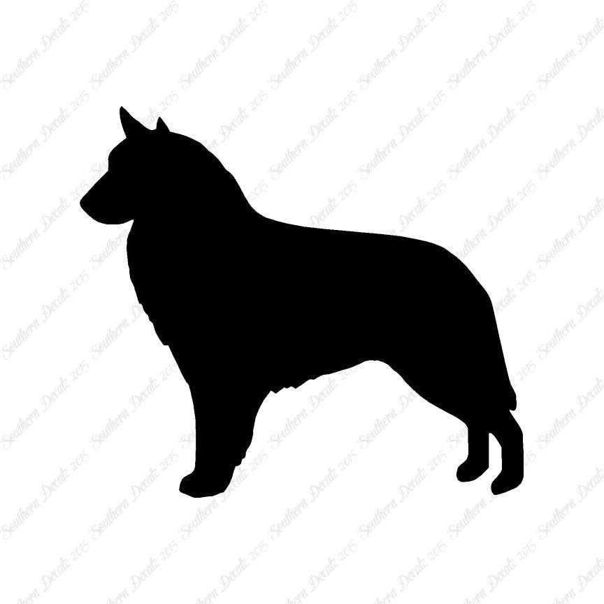 Belgian Sheepdog