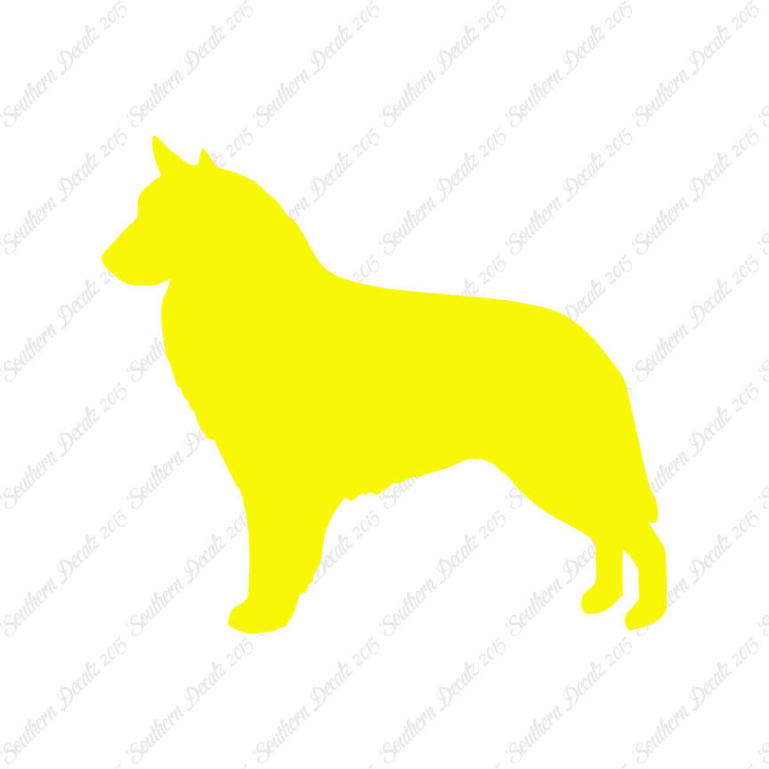 Belgian Sheepdog