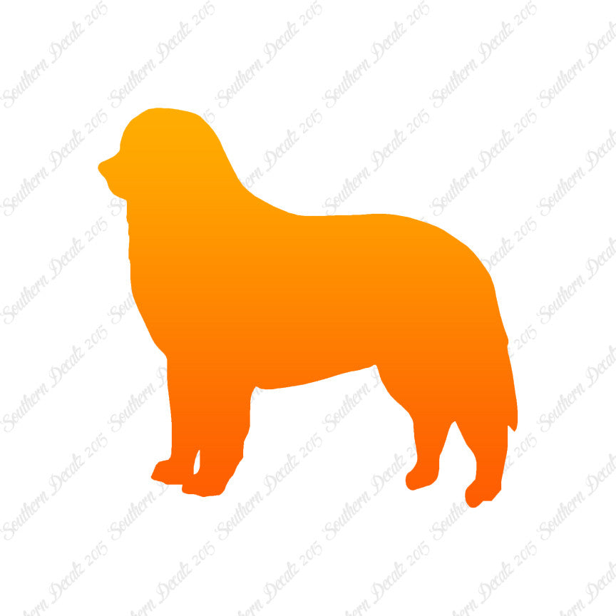 Bernese Mountain Dog Breed