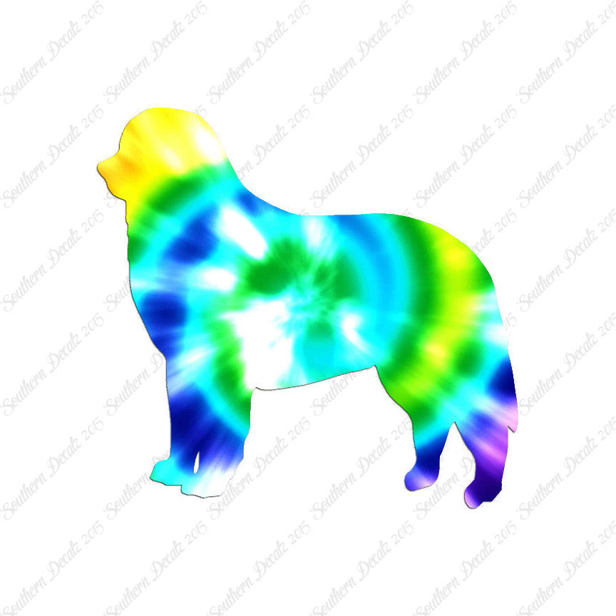 Bernese Mountain Dog Breed