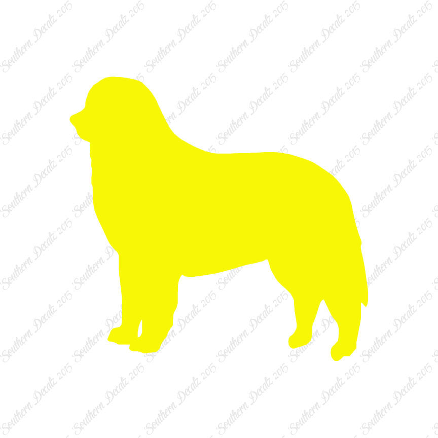 Bernese Mountain Dog Breed