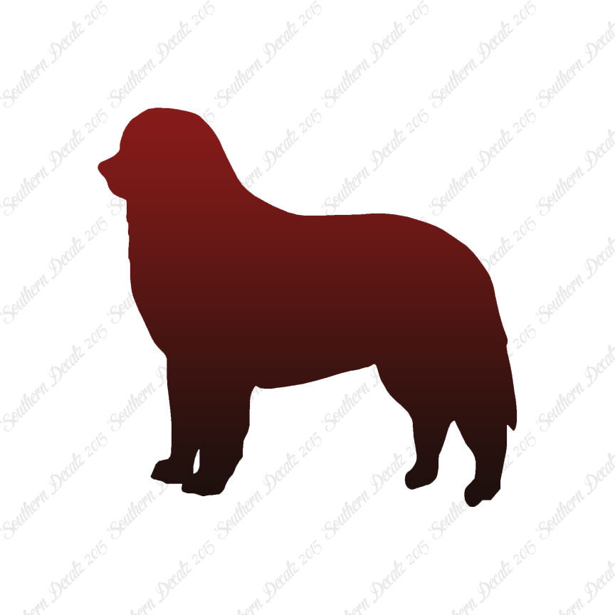 Bernese Mountain Dog Breed