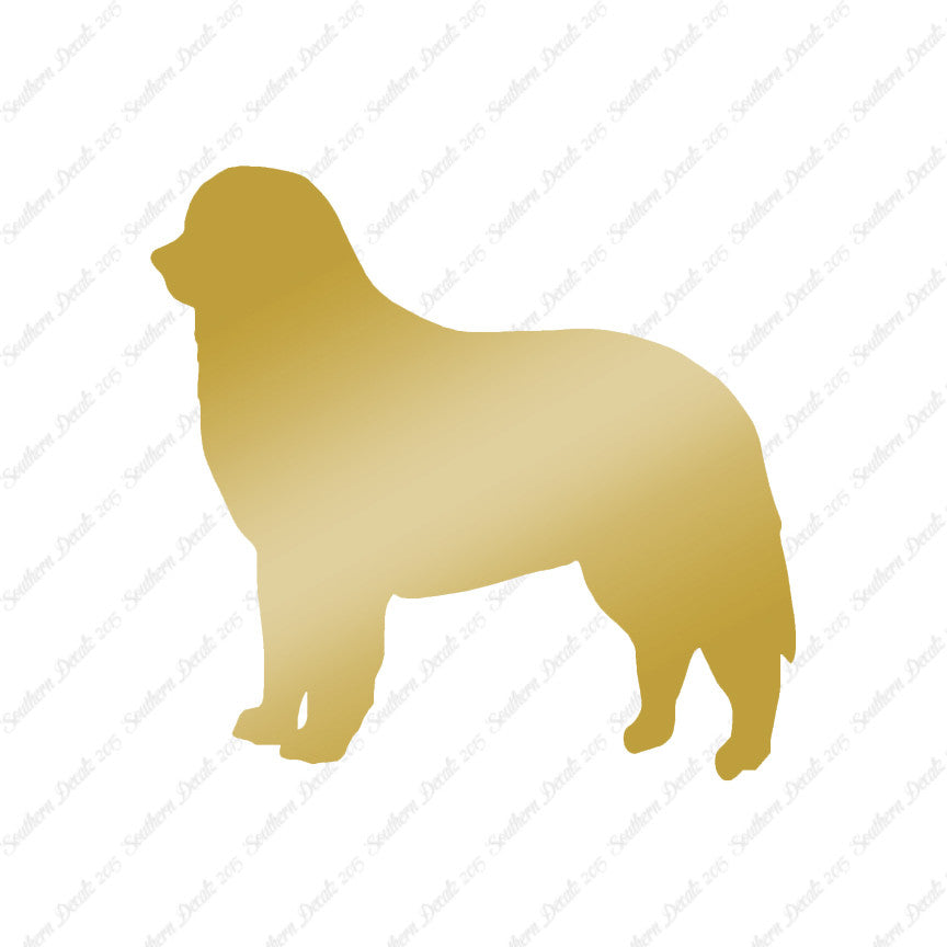 Bernese Mountain Dog Breed