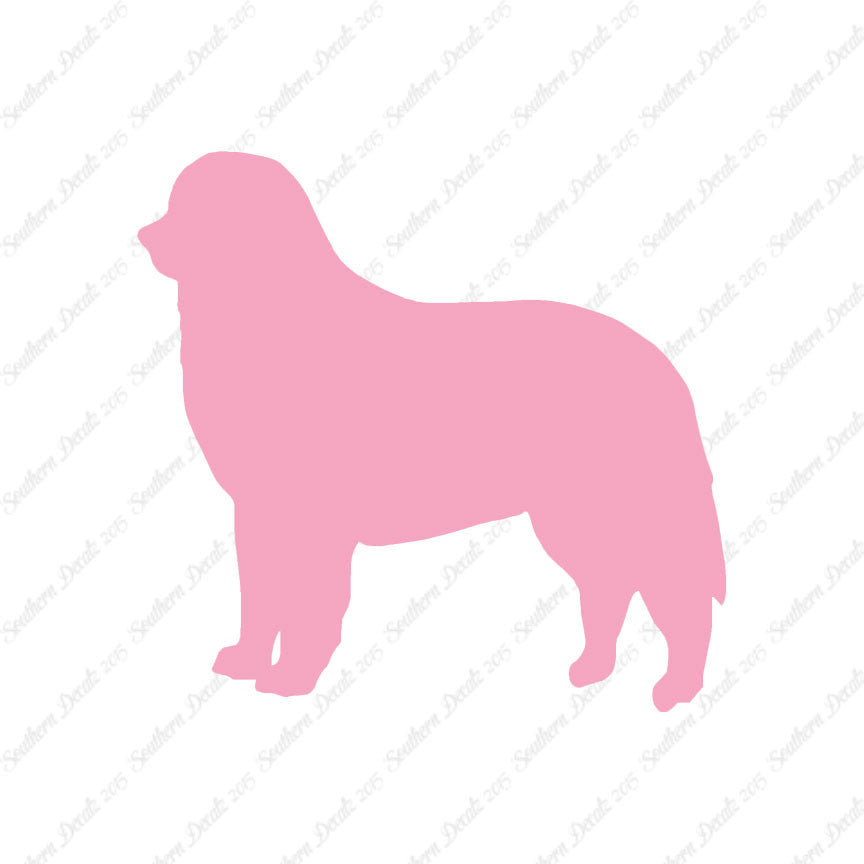 Bernese Mountain Dog Breed