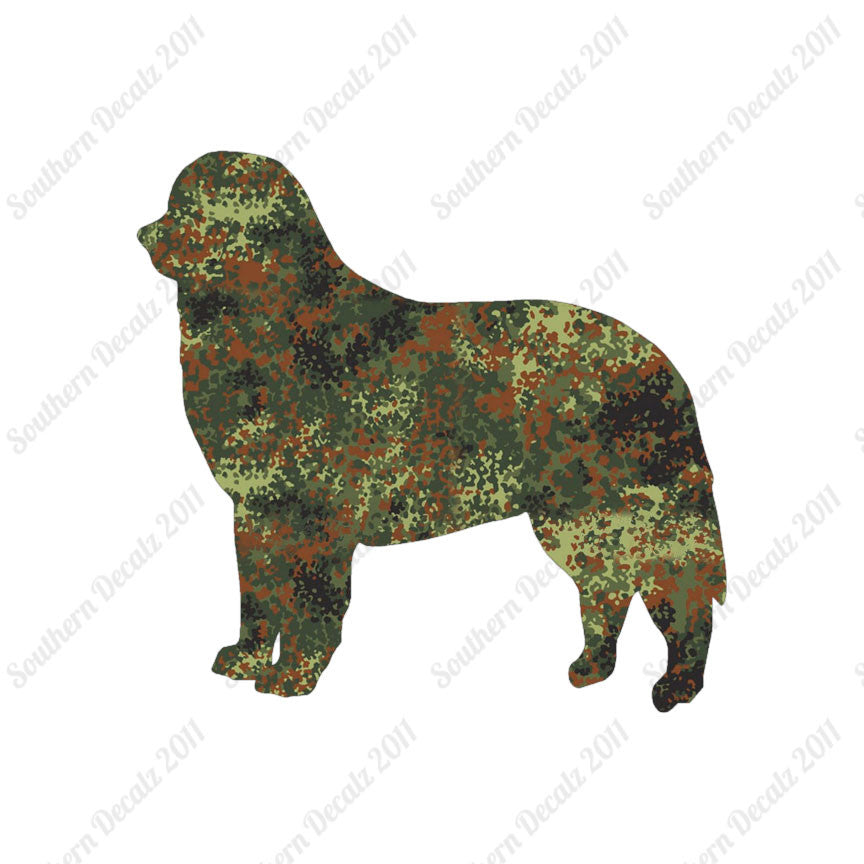 Bernese Mountain Dog Breed