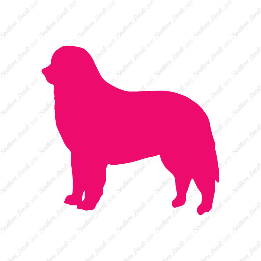 Bernese Mountain Dog Breed