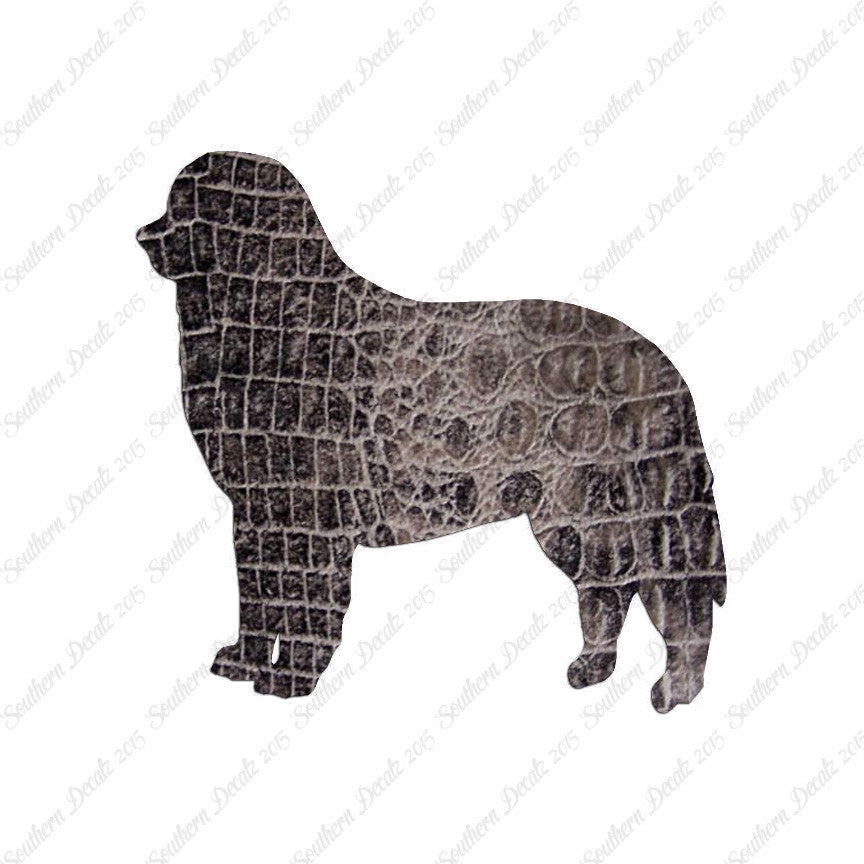 Bernese Mountain Dog Breed