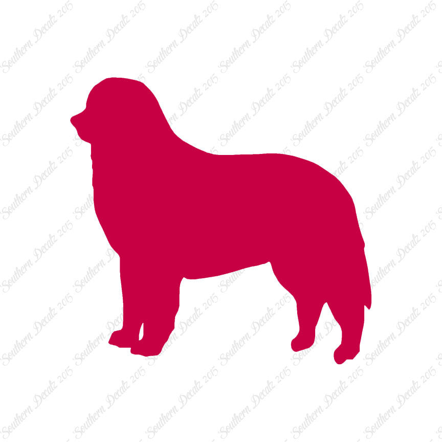 Bernese Mountain Dog Breed