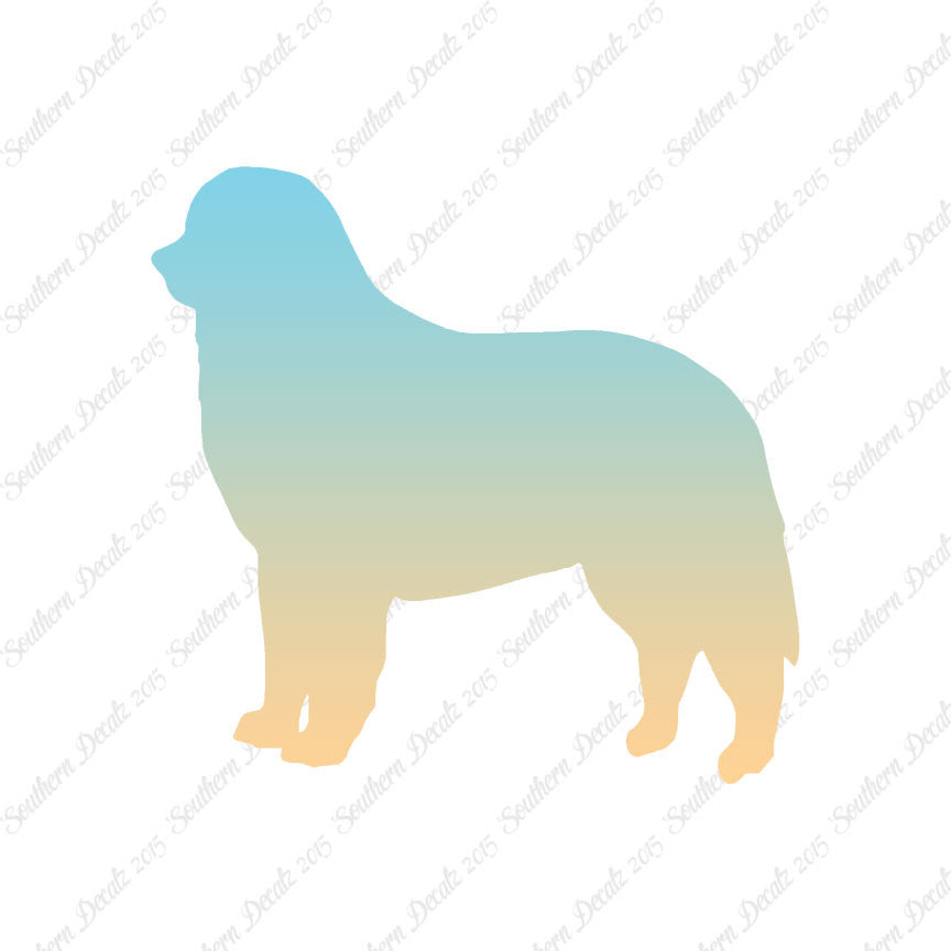 Bernese Mountain Dog Breed