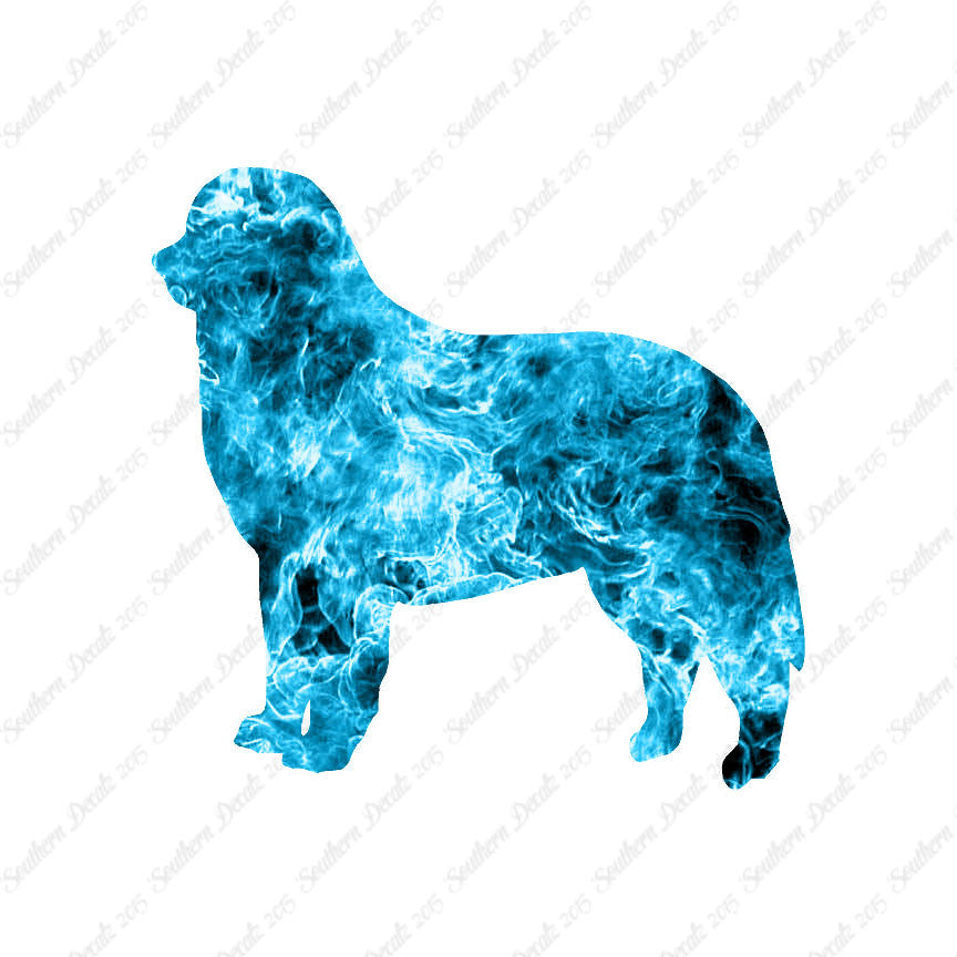 Bernese Mountain Dog Breed