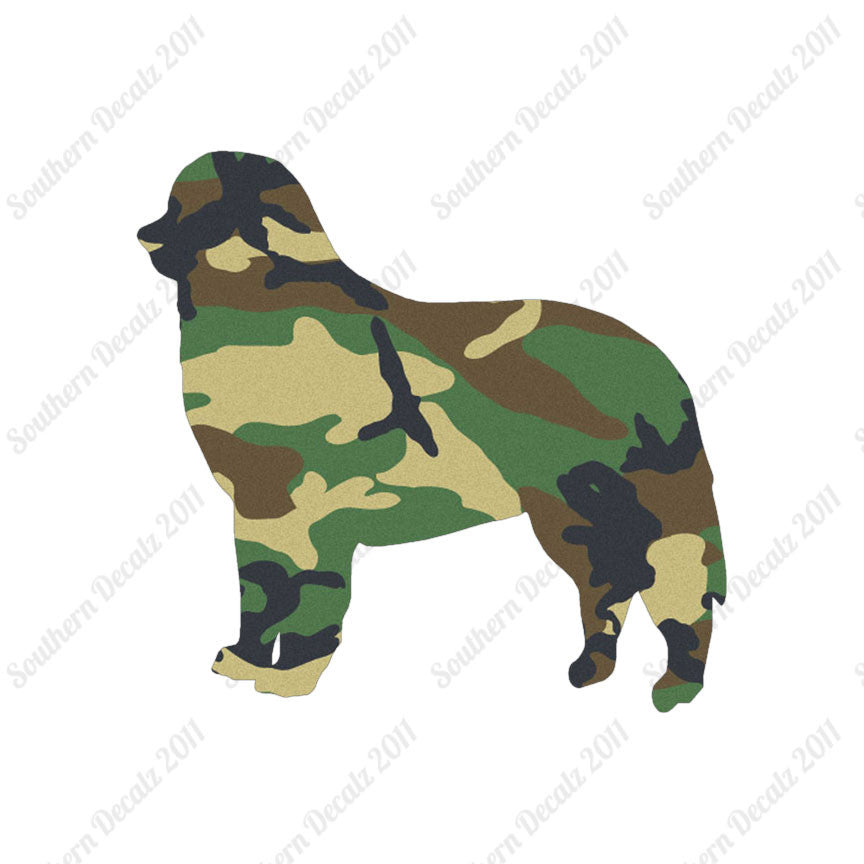 Bernese Mountain Dog Breed