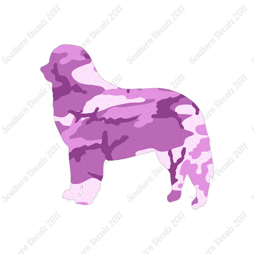 Bernese Mountain Dog Breed
