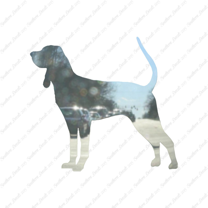 Black & Tan Coonhound Dog Breed