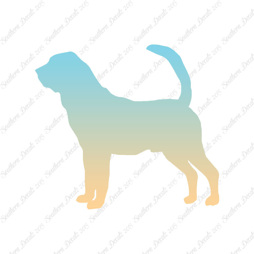 Bloodhound Dog Breed