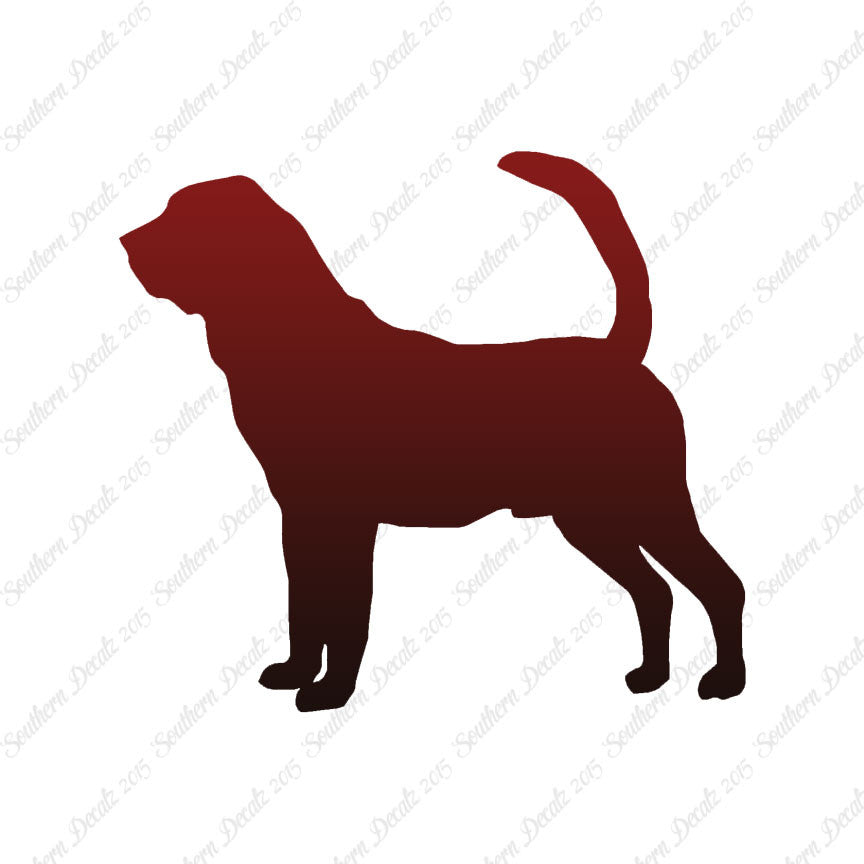Bloodhound Dog Breed