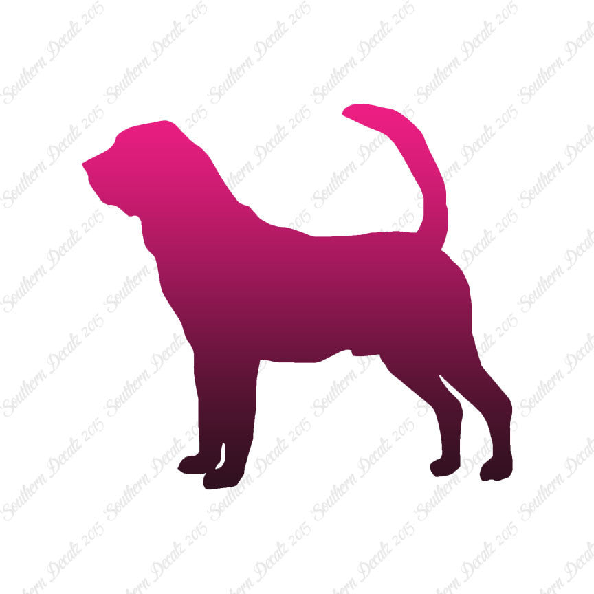 Bloodhound Dog Breed