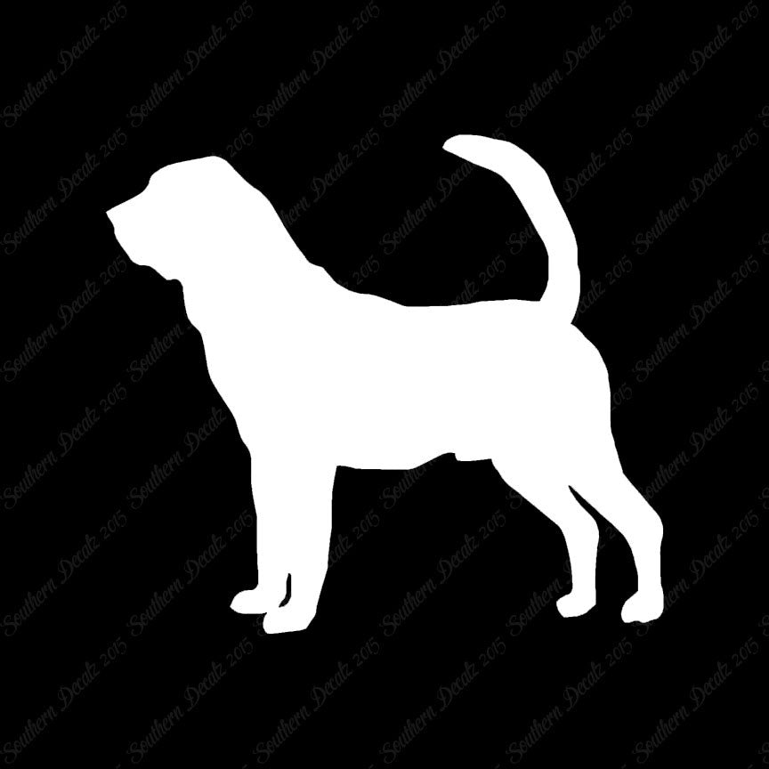 Bloodhound Dog Breed