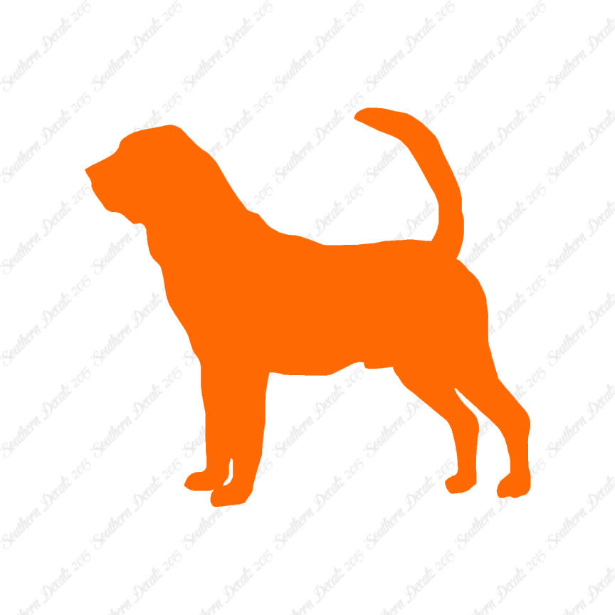 Bloodhound Dog Breed