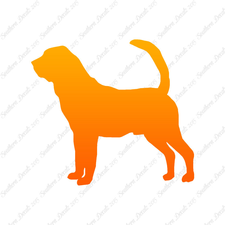 Bloodhound Dog Breed