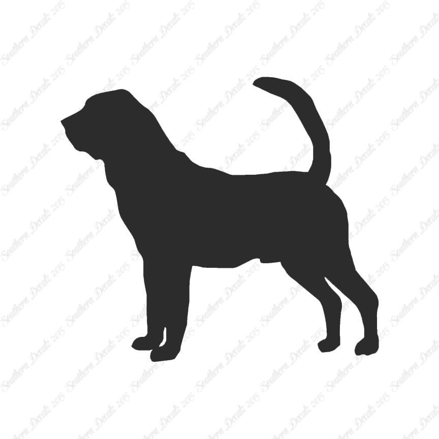 Bloodhound Dog Breed