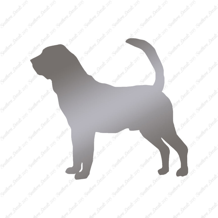 Bloodhound Dog Breed