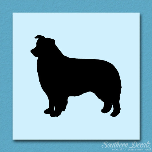 Border Collie Dog Breed