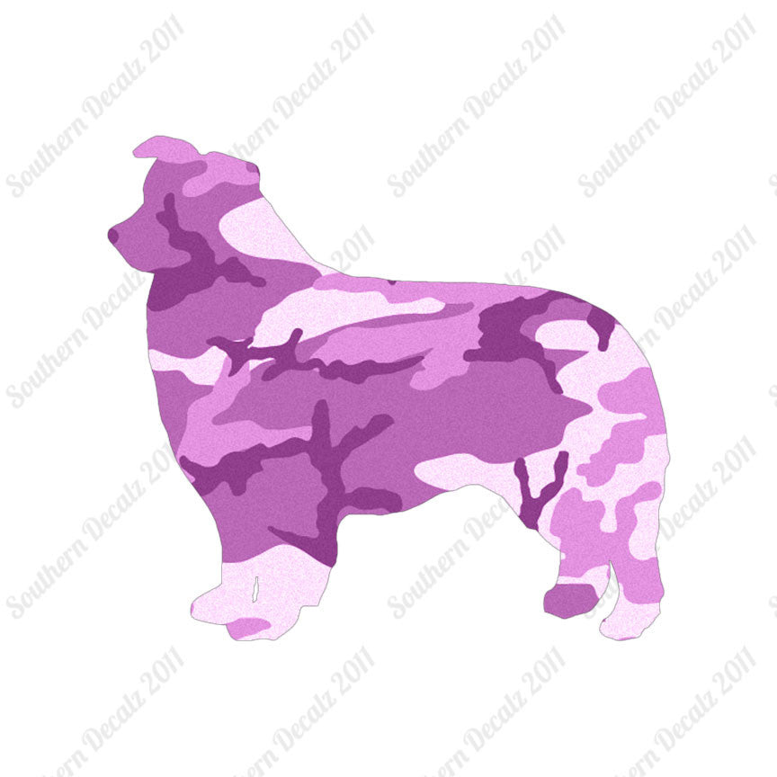Border Collie Dog Breed