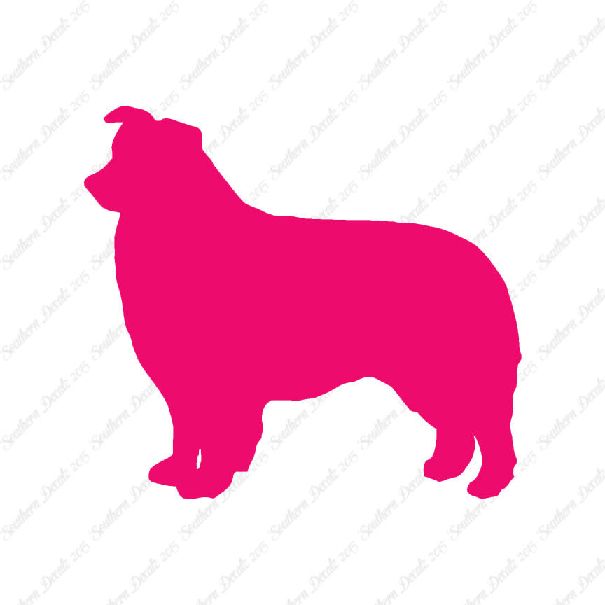 Border Collie Dog Breed