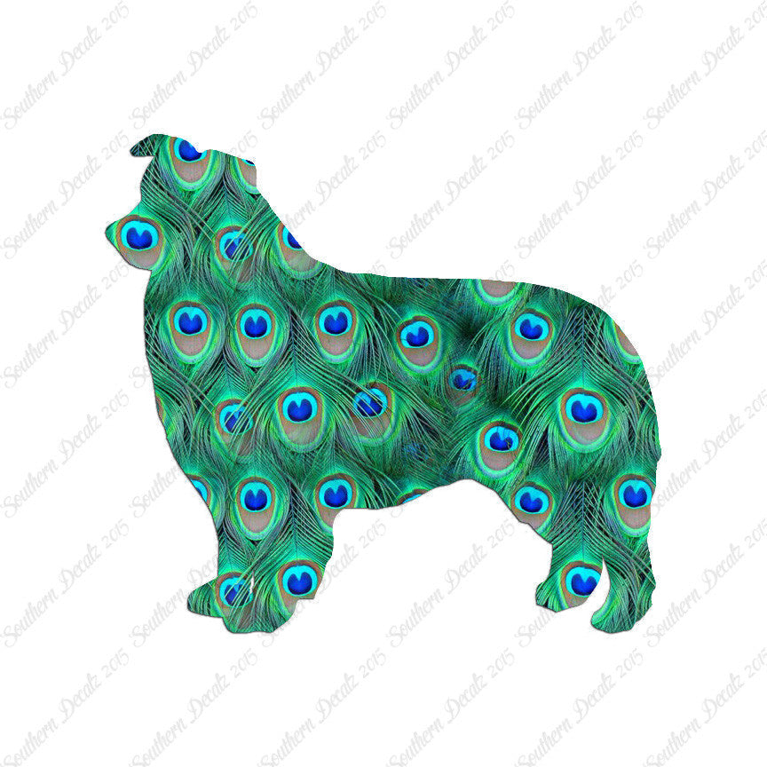 Border Collie Dog Breed