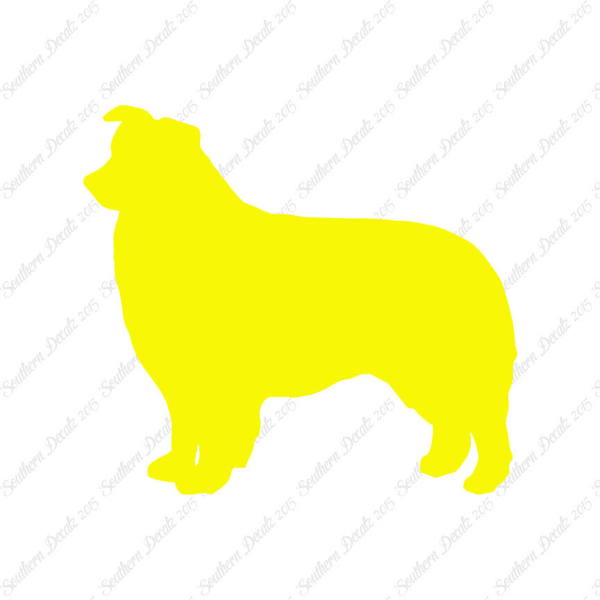 Border Collie Dog Breed