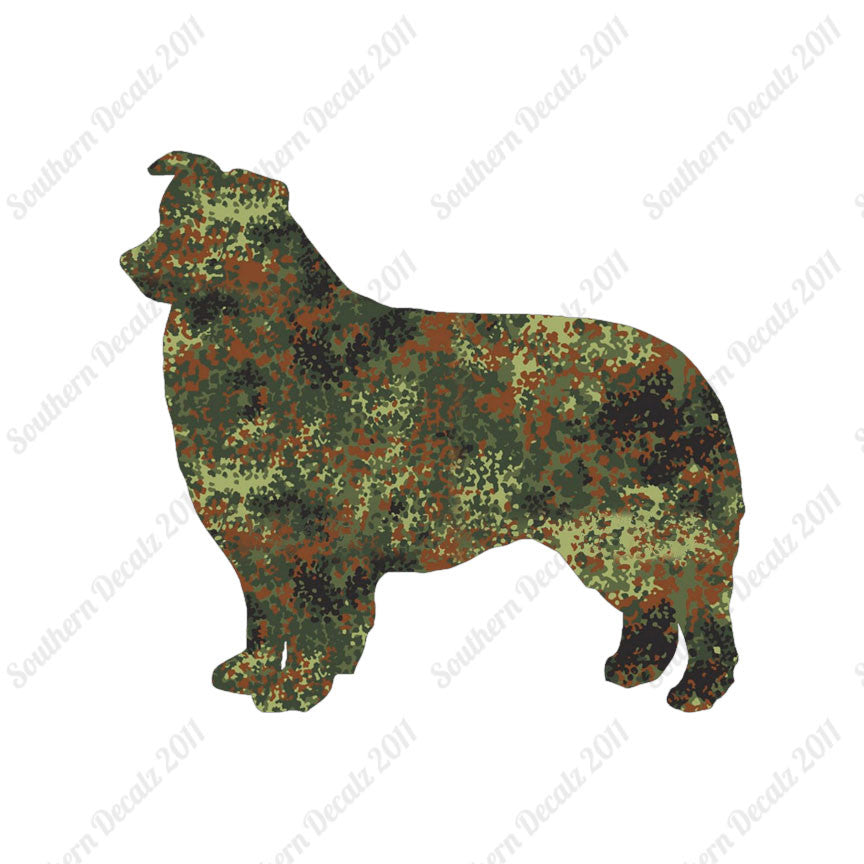 Border Collie Dog Breed