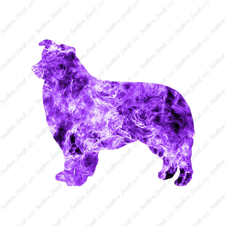 Border Collie Dog Breed