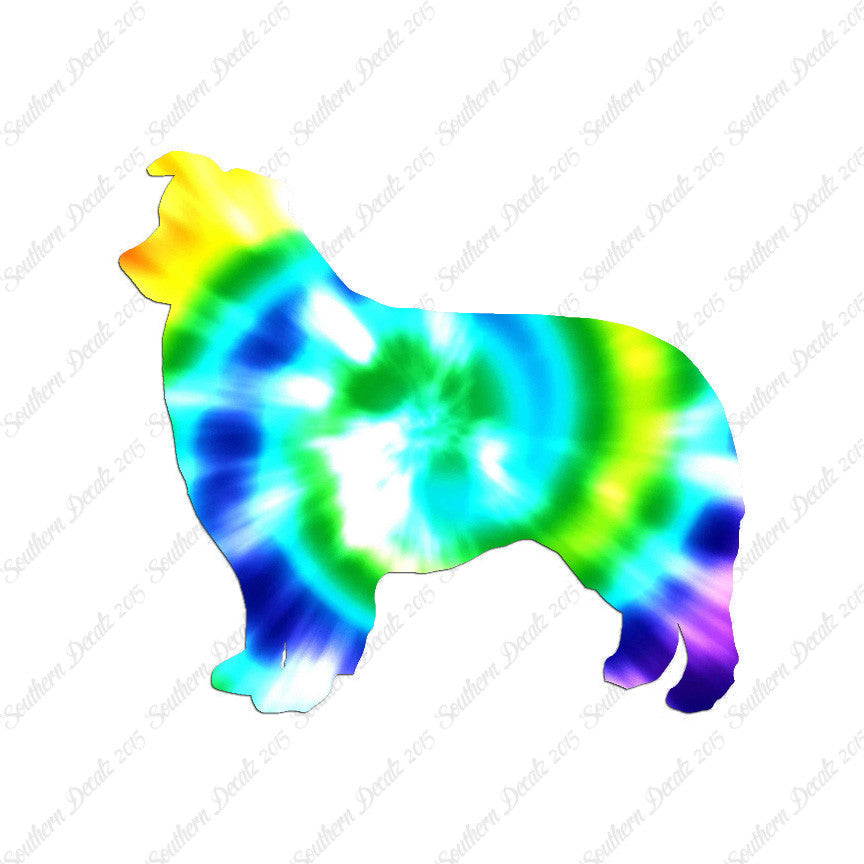 Border Collie Dog Breed
