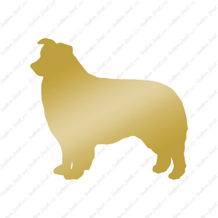 Border Collie Dog Breed