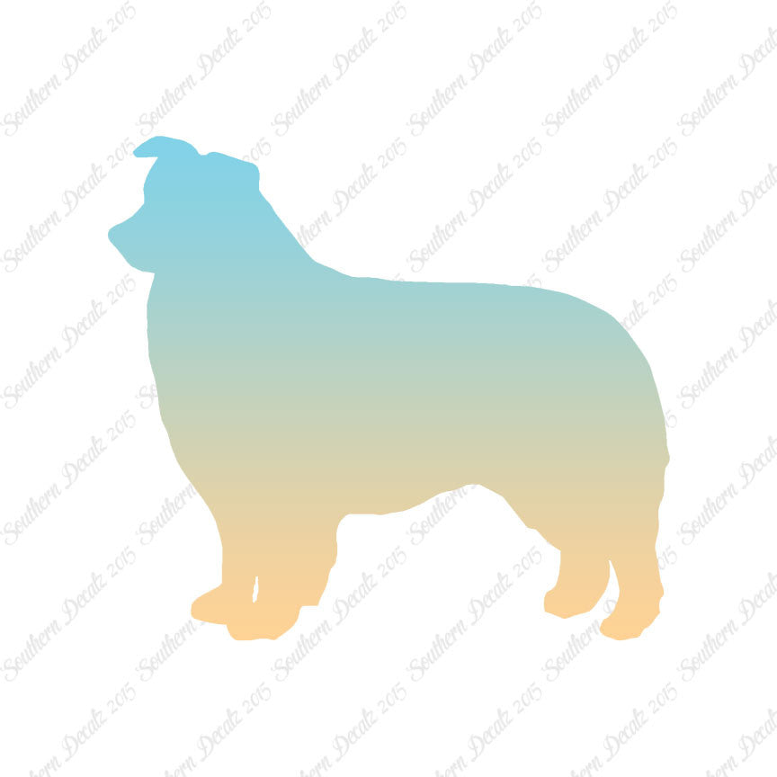 Border Collie Dog Breed