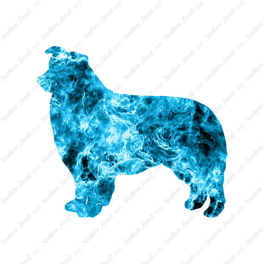 Border Collie Dog Breed